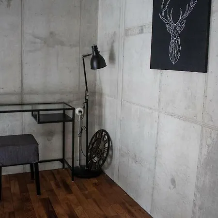 Modern Loft Close To The City Center Apartment *